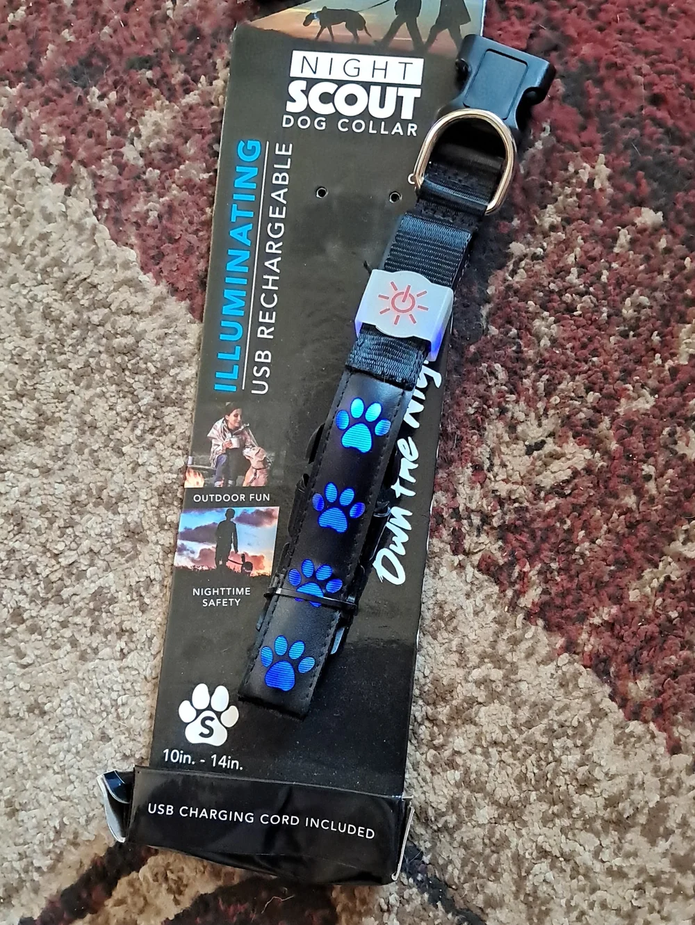 Illuminating USB-Rechargeable Dog Collar - Black with Blue Paw Prints (Small)